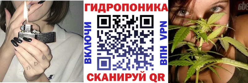 Каннабис конопля  купить наркотики сайты  Костерёво 